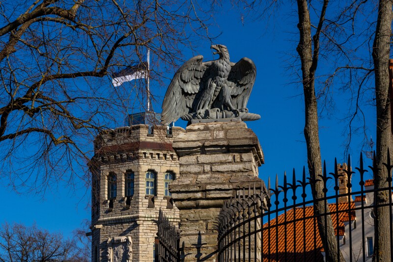 maarjamyae-suvemyisa-loss 1-91