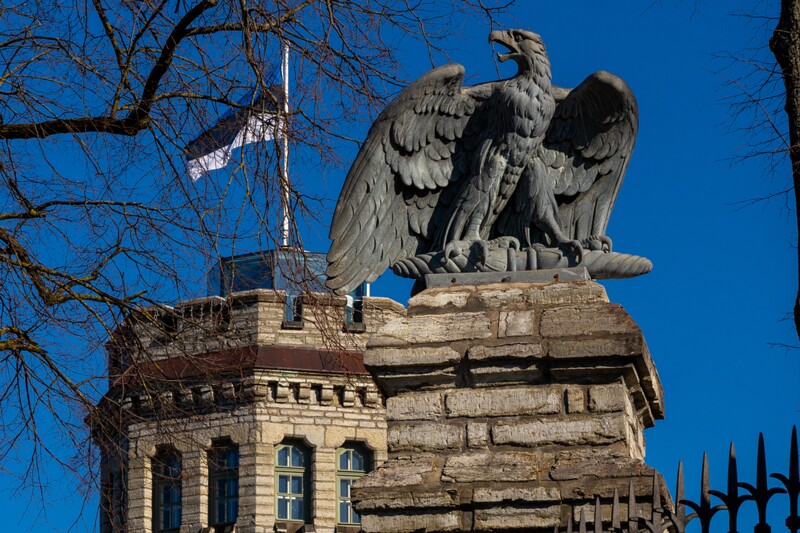 maarjamyae-suvemyisa-loss 1-92