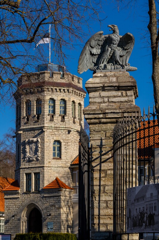 maarjamyae-suvemyisa-loss 1-93