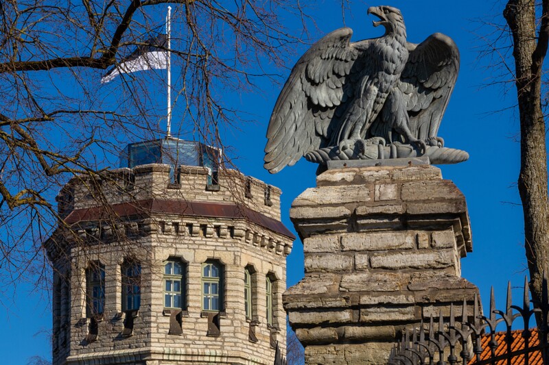 maarjamyae-suvemyisa-loss 1-94