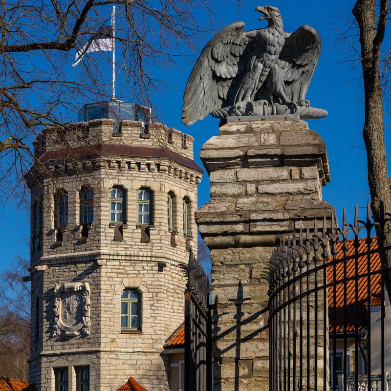 maarjamyae-suvemyisa-loss 1-95