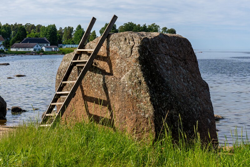 Majakamäe kivi  2026-06-20 1-3