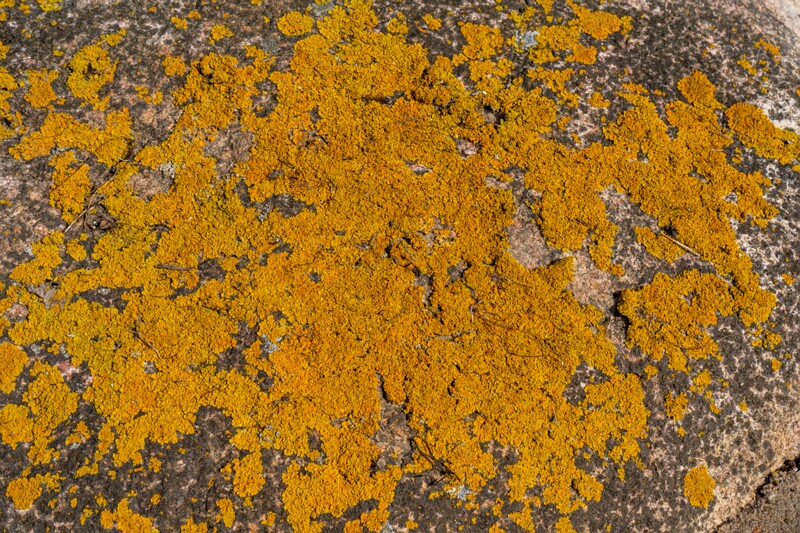 neeme-sadam 2025-04-18 1-14