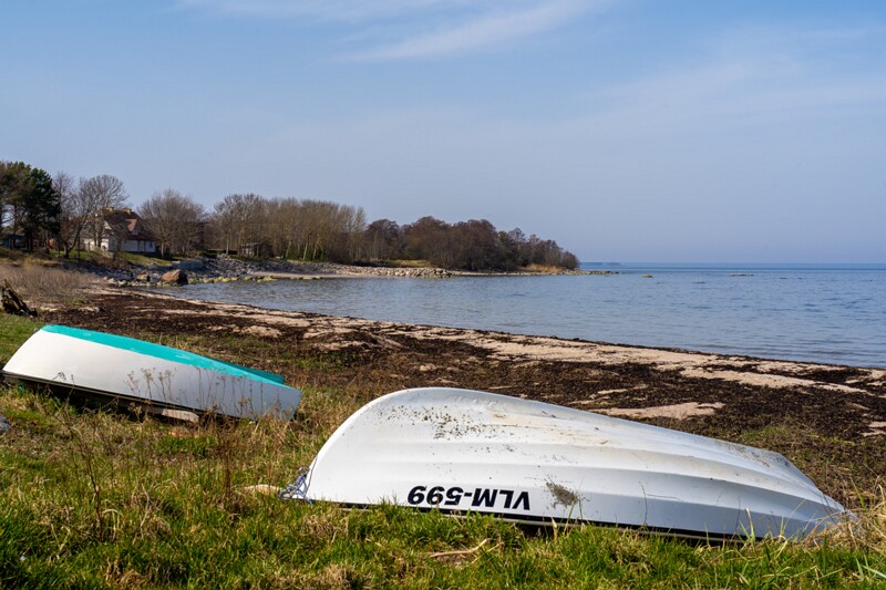 neeme-sadam 2025-04-18 1-11