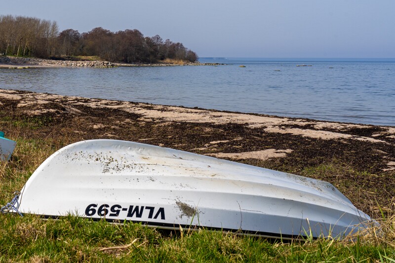 neeme-sadam 2025-04-18 1-12