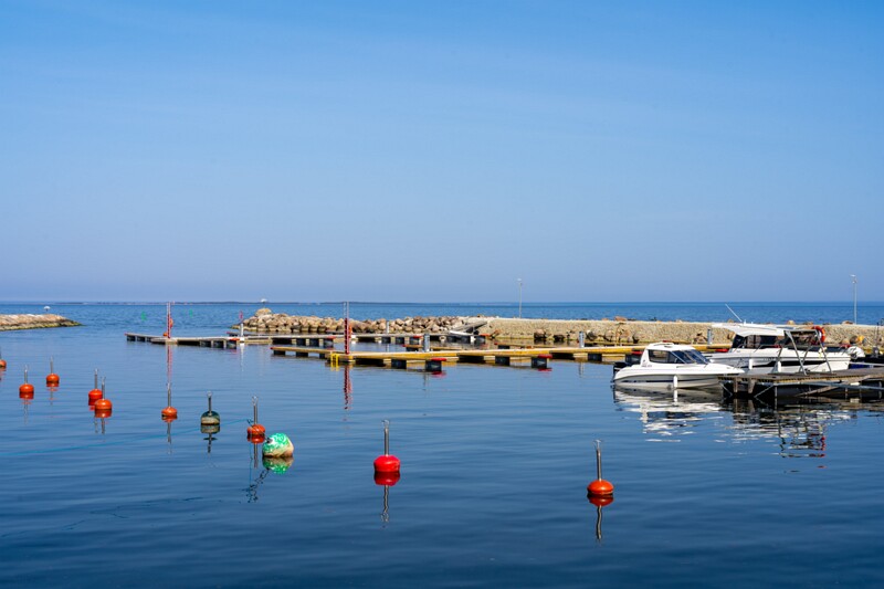 neeme-sadam 2025-04-18 1-2