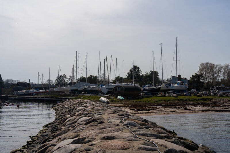 neeme-sadam 2025-04-18 1-22