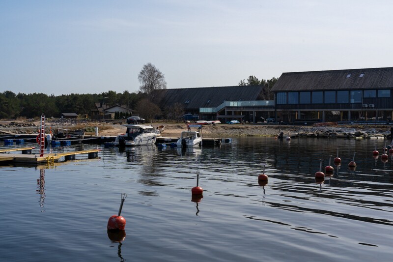 neeme-sadam 2025-04-18 1-23