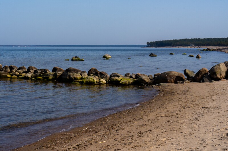 neeme-sadam 2025-04-18 1-28