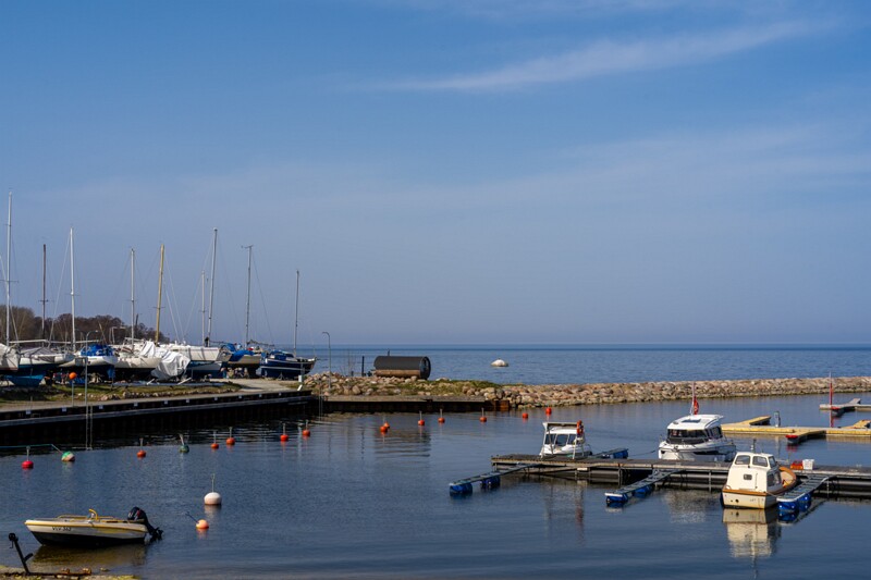 neeme-sadam 2025-04-18 1-29