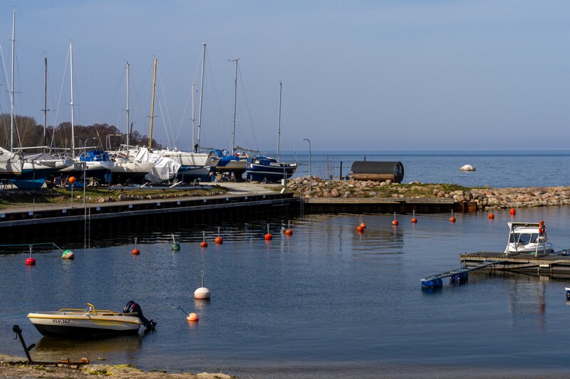 neeme-sadam 2025-04-18 1-30