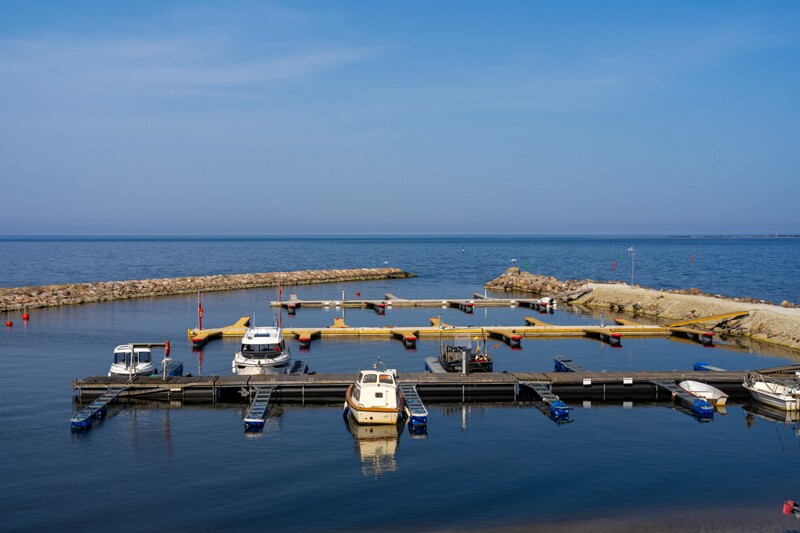 neeme-sadam 2025-04-18 1-31