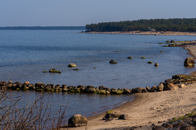 neeme-sadam 2025-04-18 1-33