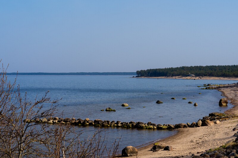 neeme-sadam 2025-04-18 1-35