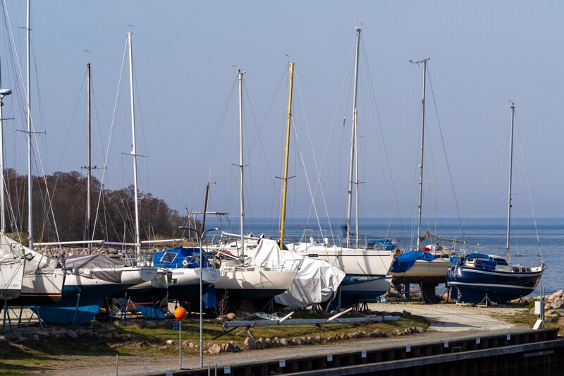 neeme-sadam 2025-04-18 1-39