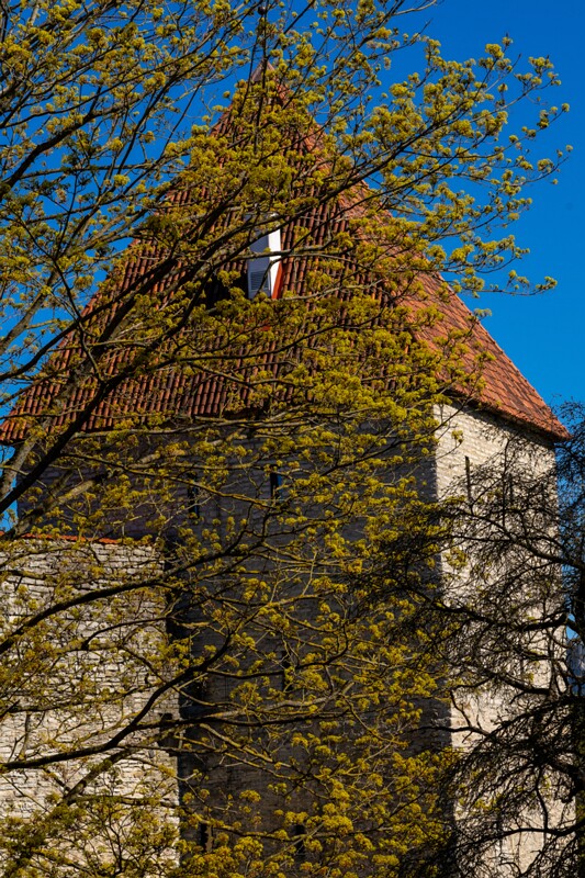 neitsitorn 2025-05-03 1-1