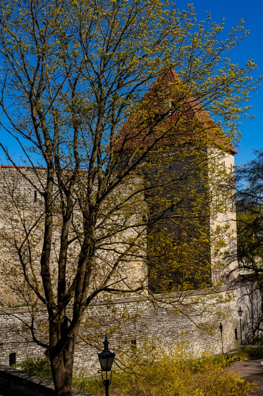 neitsitorn 2025-05-03 1-2