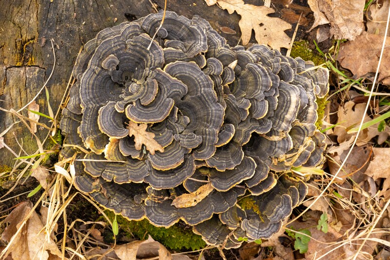 nissi-kirik-harju-26