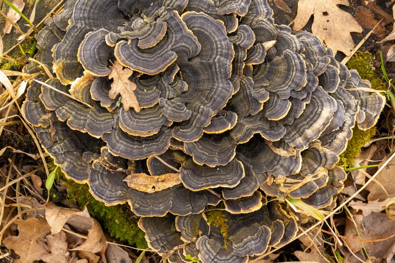 nissi-kirik-harju-30