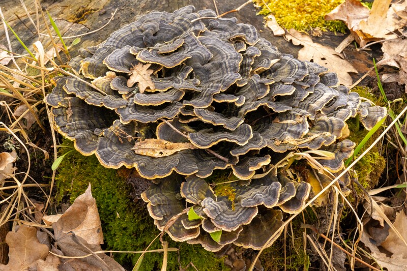 nissi-kirik-harju-32