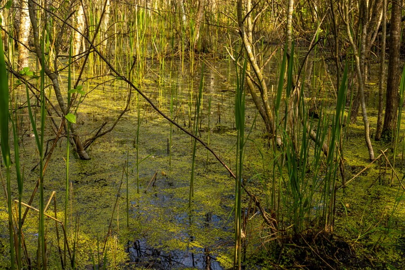 pyayaskyula-raba 2023-05-21 1-11