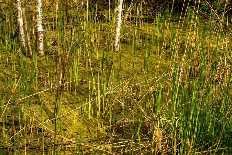 pyayaskyula-raba 2023-05-21 1-12