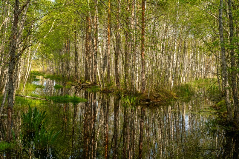 pyayaskyula-raba 2023-05-21 1-3