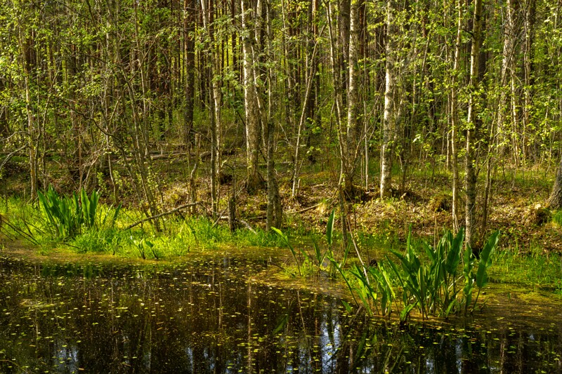 pyayaskyula-raba 2023-05-21 1-7