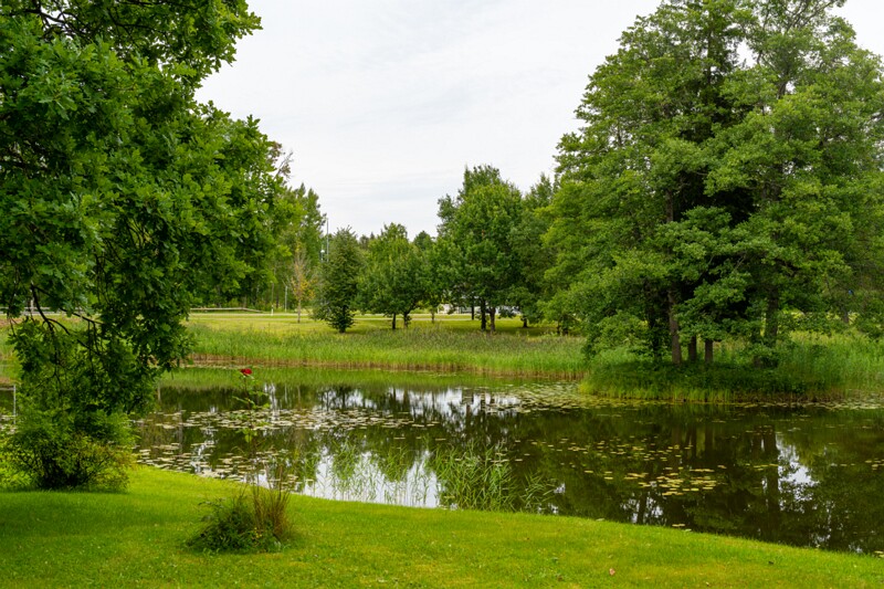 Padise mõisa park  2026-08-01 1-3