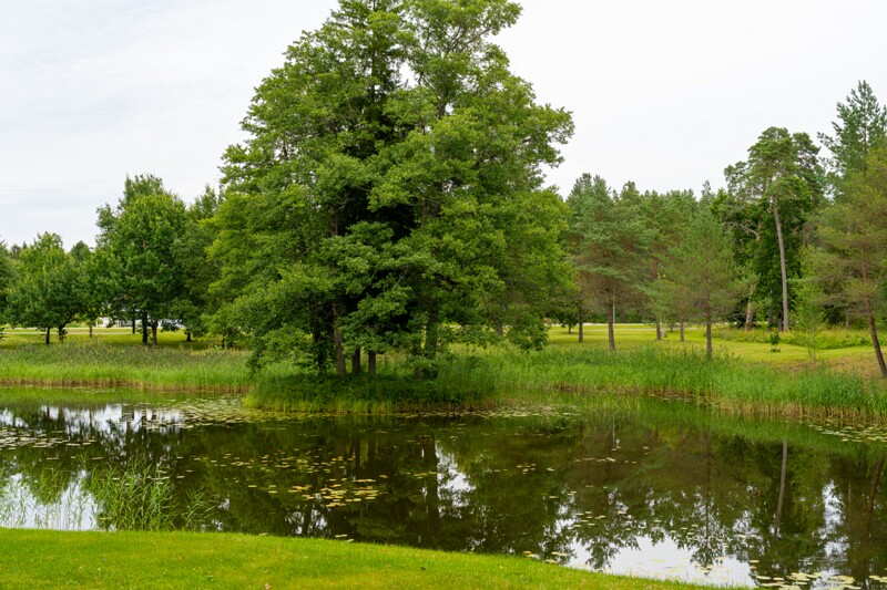Padise mõisa park  2026-08-01 1-4