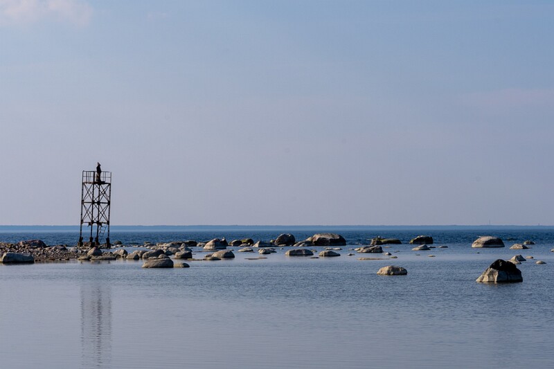 pandju-saar 2025-03-29 1-31