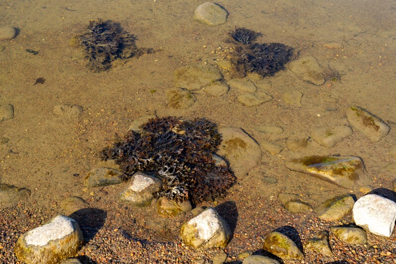 pandju-saar 2025-03-29 1-33