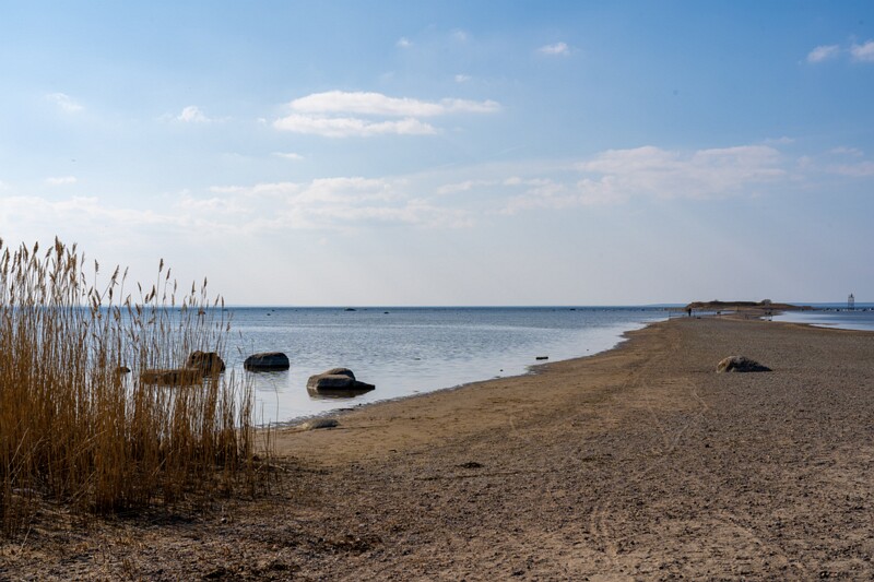 pandju-saar 2025-03-29 1-4