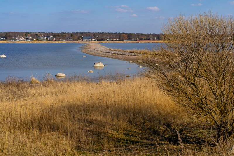 pandju-saar 2025-03-29 1-61