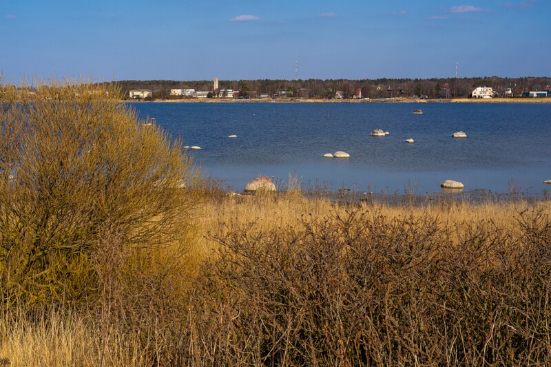 pandju-saar 2025-03-29 1-66