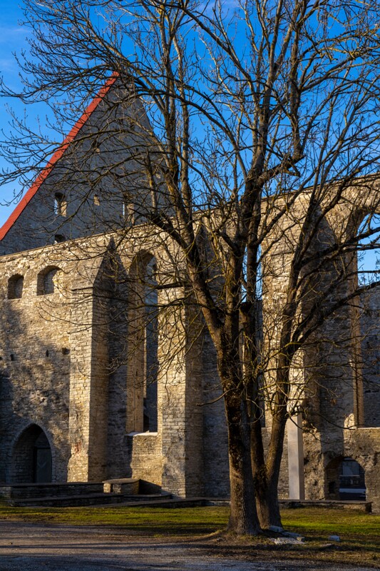 pirita-klooster 1-67