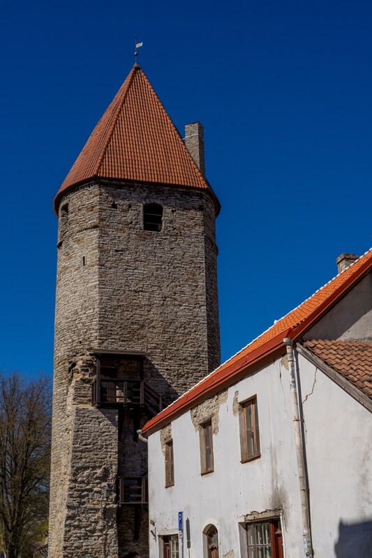 plate-torn 2025-05-03 1-1