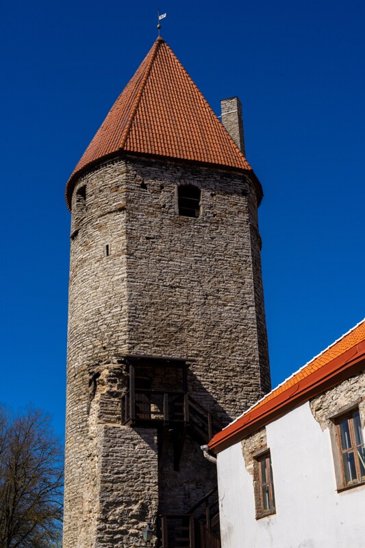 plate-torn 2025-05-03 1-2