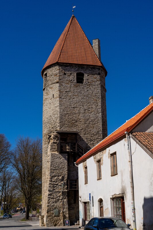 plate-torn 2025-05-03 1-3