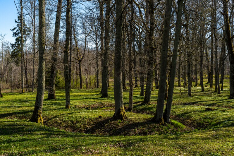 Ravila mõis ja park  2026-05-02 1-20