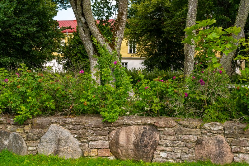 Ruila Mõis  2026-08-01 1-13