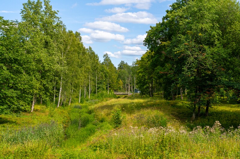 Ruila Mõis  2026-08-01 1-6