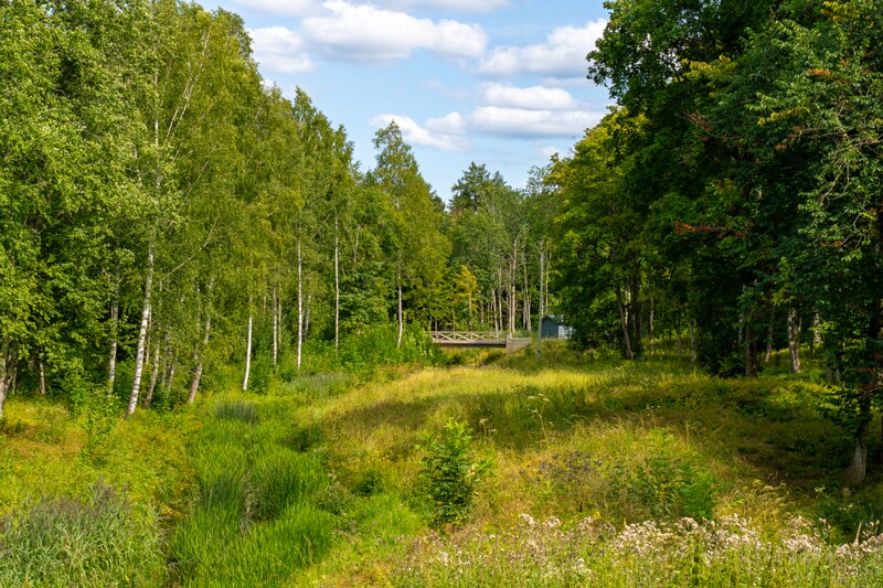 Ruila Mõis  2026-08-01 1-7