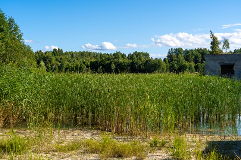 Rummu karjäär  2026-08-08 2-5