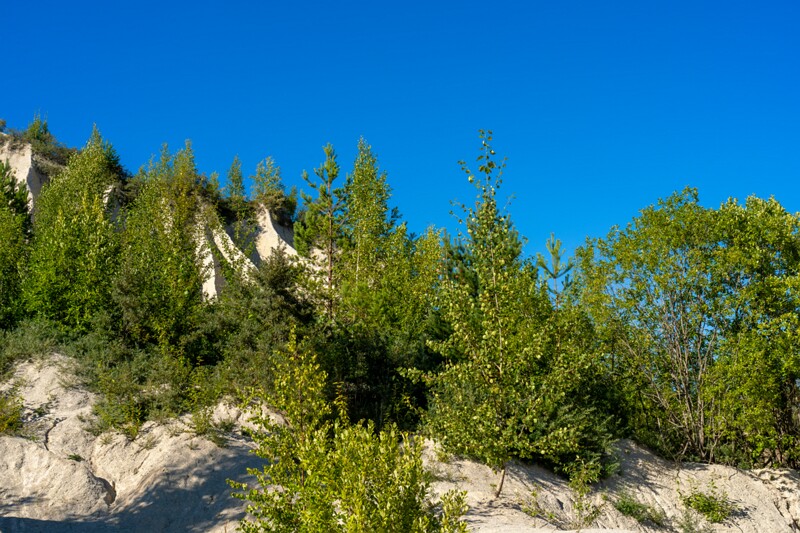 Rummu karjäär  2026-08-08 2-7