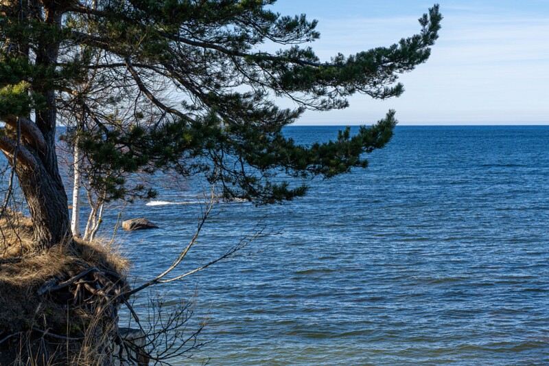 Suurupi pank  2026-03-22 1-4