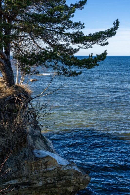 Suurupi pank  2026-03-22 1-5