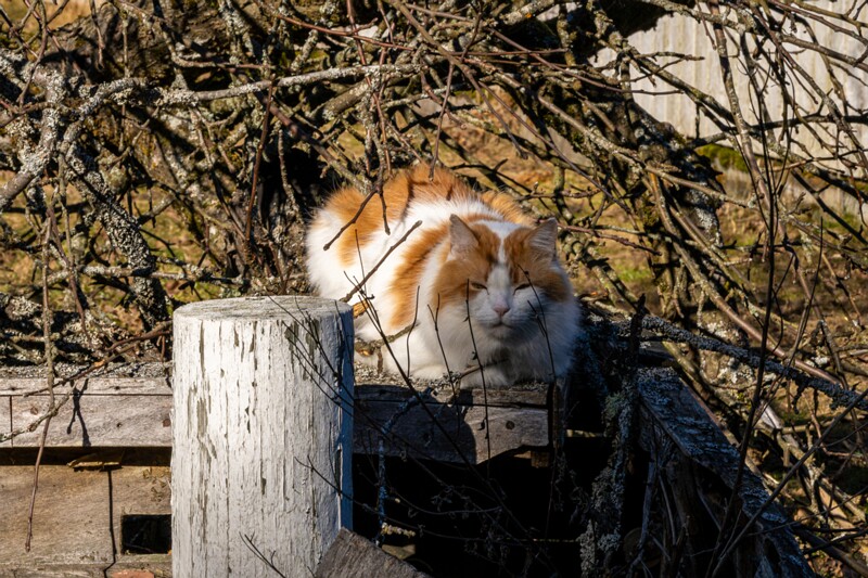 Suurupi pank  2026-03-22 4-1