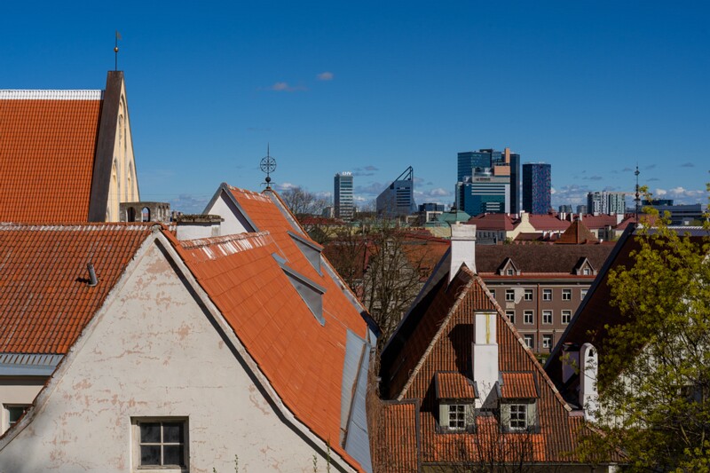 taani-kuninga-aed 2025-05-03 1-1