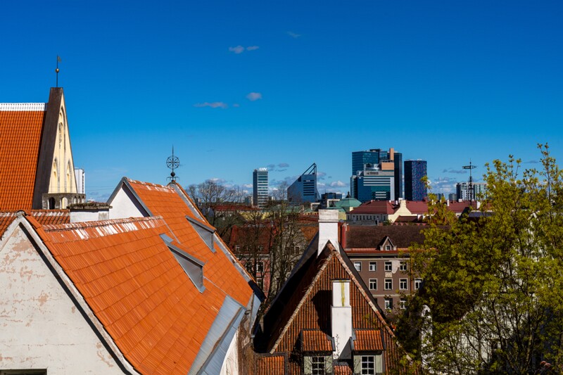 taani-kuninga-aed 2025-05-03 1-3